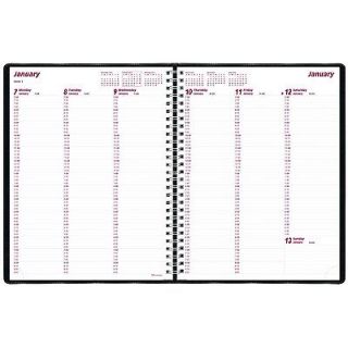 Brownline Weekly Planner for 2013, Twin Wire, 11x8.5 Inches, Black 