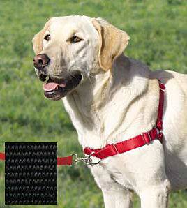 EASY WALK HARNESS Dog Premier/Gentle Leader No Pull