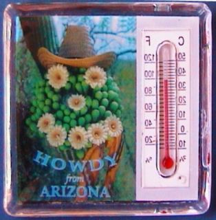 Howdy from Arizona barrel cactus 2 thermometer Magnet