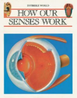 How Our Senses Work by Jamie Ripoll 1994, Hardcover