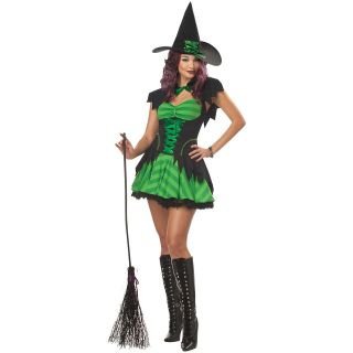   Witch Adult Womens Hocus Pocus Witch Halloween Costume Std/Plus Size