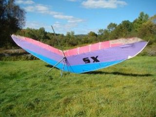 Moyes XS 142 Intermediate Hang Glider Gliding ~ Must Pick Up in 