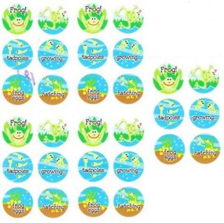 30 x Dot Stickers ★ Frog Life Cycle Tadpole Eggs Froggy Water 