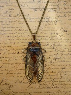   Bronze Large Beetle Egyptian Cicada Scarab Insect Animal Zoo Necklace