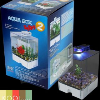 fish tank in Aquariums