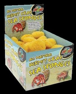 hermit crab sponge in Pet Supplies