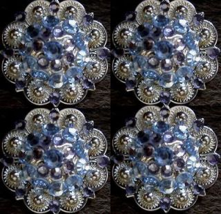 BERRY CRYSTALS BLING CONCHOS HORSE SADDLE HEADSTALL PURPLE TACK C18
