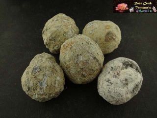 Whole TRANCAS GEODES 1/2 Lb Lots Natural Mineral Crystal Specimens