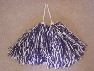   of NAVY & WHITE MULTI COLOR ROOTER Pom Poms *DALLAS COWBOY COLORS