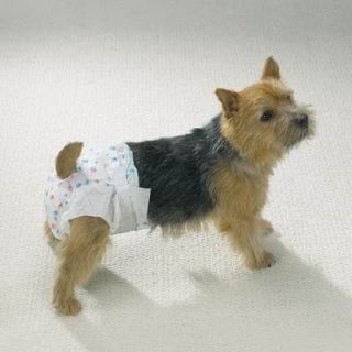 disposable dog diapers in Dog Diapers