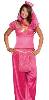 Teen Tween Girls Genie Jasmine Arabian Princess Halloween Costume