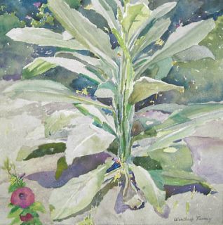 Winthrop Turney Original Watercolor Painting Plant American Realist 