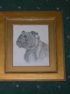 ANTIQUE BULLDOG DOG DRAWING 1890 BY STANLEY OLD ENGLISH BULLDOGS 