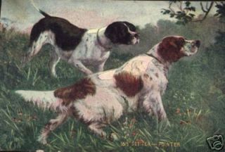 Antique postcrd Irish Setter English Setter dog pointer