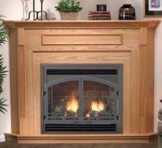 direct vent fireplace in Fireplaces