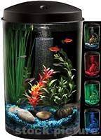   AQUARIUS AquaView 360 Aquarium KitLED Light 3 Gallon Fish Tank Pet