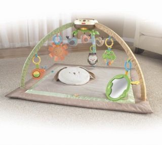 Fisher Price My Little Snugabunny Deluxe Kids Musical Mobile Gym 