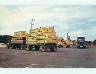  Pre 1980 FORESTRY   OLD TRUCK AT UNION LUMBER Ft. Fort Bragg CA v5445