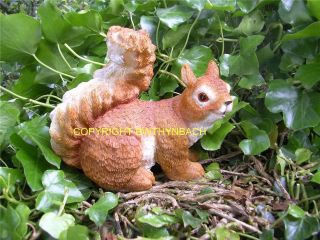 NEW RUBBER LATEX MOULD MOULDS MOLD SQUIRREL TO MAKE GARDEN ORNAMENT C