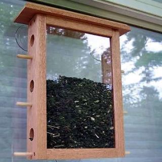 window bird feeders in Seed Feeders