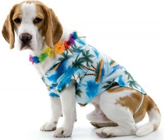 Hawaiian Dog Costume with Lei & Shirt Medium Halloween Luau Aloha 