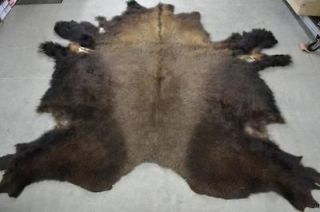 78 x 68 Hair on Buffalo Robe New Bison Hide Leather with Hair Throw 