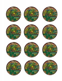 TEENAGE MUTANT NINJA TURTLES Edible CUPCAKE Toppers