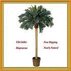Nearly Natural 6 Sago Palm Silk Tree Green 5107 Dimensions 6X40X40 