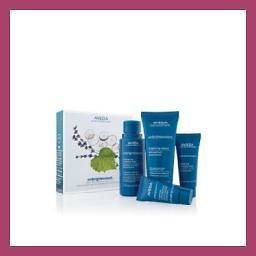 Aveda Enbrightenment 4 Step Skin Care Set Kit