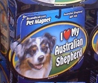 australian shepherd in Collectibles