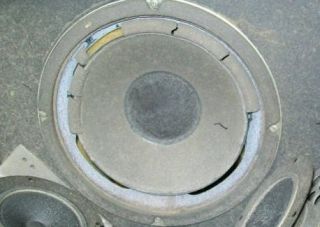 Bose 301 601 4.2 6.2 10.2 8 Speaker Woofer Repair Refoam Service