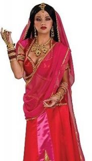 Bollywood Sari Indian Dancer Saree Halloween Costume