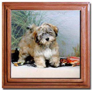 Framed Ceramic Tile Trivet   Havanese Pup