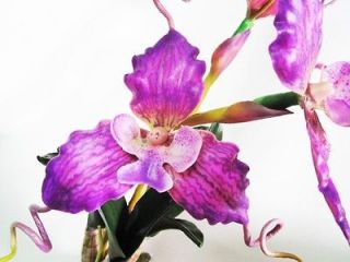 18 Purple Dendrobium Orchid Artificial Silk Flower Stem Plant 
