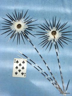   Quills for Daisy 2  4 Jewelry, Collage, Art, Embroidery (8s