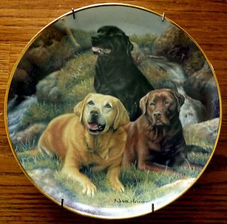   Mint Beloved Companions Lab Dog Collector Plate 3 Labradors Numbered