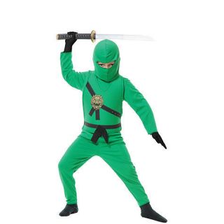 green ninja costume in Costumes, Reenactment, Theater