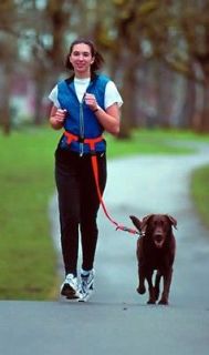 New Buddy System HANDS FREE DOG LEASH Lead Running Jogging Hiking 