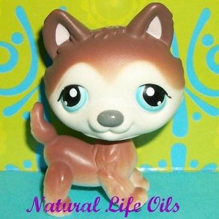 Littlest Pet Shop Blythe Loves Littlest Pet Shop Chinchilla (#2242