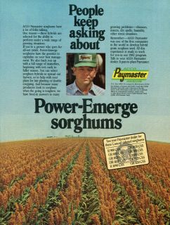 1982 Acco Paymaster Hybrid Sorghum Seed Ad