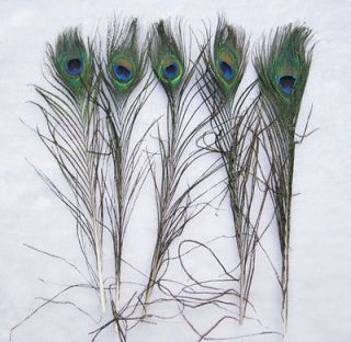 NEW Crafts 10pcs Natural Colours peacock tail Feathers,about 26 30cm 