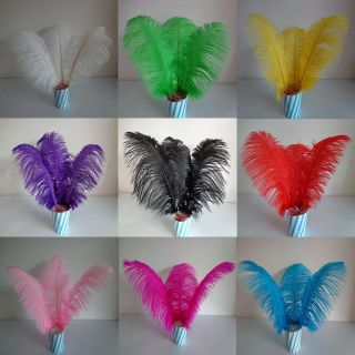 ostrich feathers in Feathers