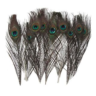 New 30 pcs Real Natural Peacock Feather House Decoration About 10 12 
