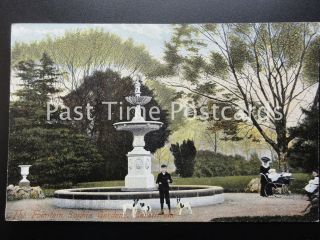 c1909   The Fountain, Sophia Gardens, Cardiff   showing boy with dogs 