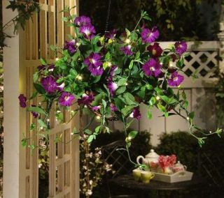   Lights Solutions Battery Operated Petunia Hanging Basket w/Timer