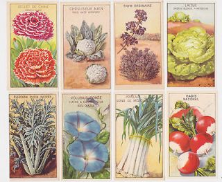 14 Antique French Vegetable, Herb and Flower Seed Packet Labels 