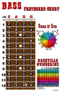 String Bass Fretboard Instructional Chart Poster LOOK