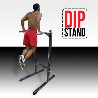   Self Standing Angled Dipping Station Machine Bicep Tricep Shoulder New