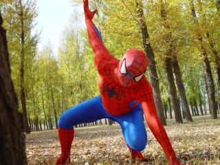   NEW Lycra Spandex zentai costume red&blue Spider hero Spiderman suit