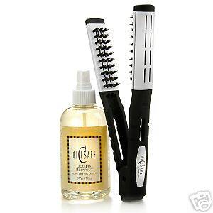 Michael diCesare Smoothie Brush and Liquifix Blowout